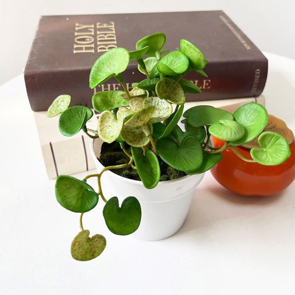 Pegamento suave, planta Artifi - Home Office Word reseña y precio