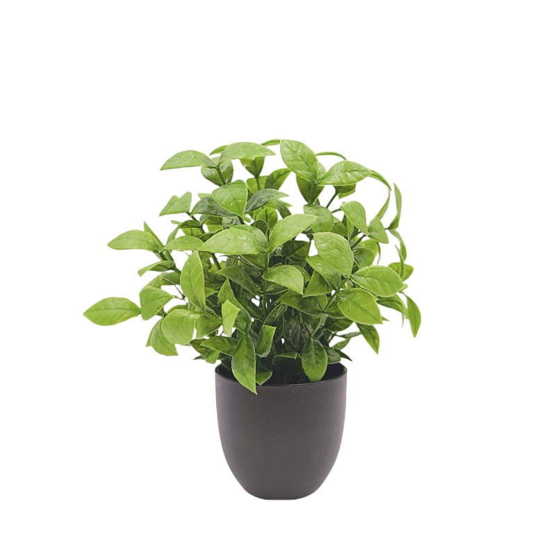 Bonsái de Planta Verde Simulad - Home Office Word reseña y precio